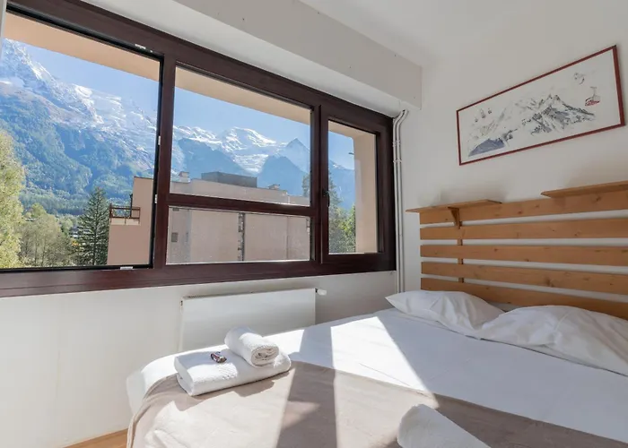 公寓 Lumineux A Avec Vue Imprenable Sur Mont Blanc Et Parking